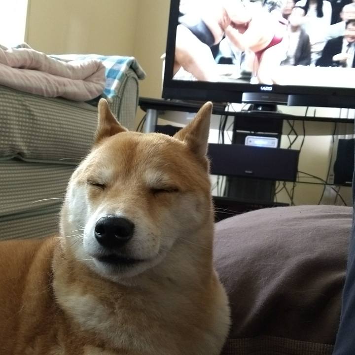 391b4fd9 87e8 4214 b02a 54c5b3405b46