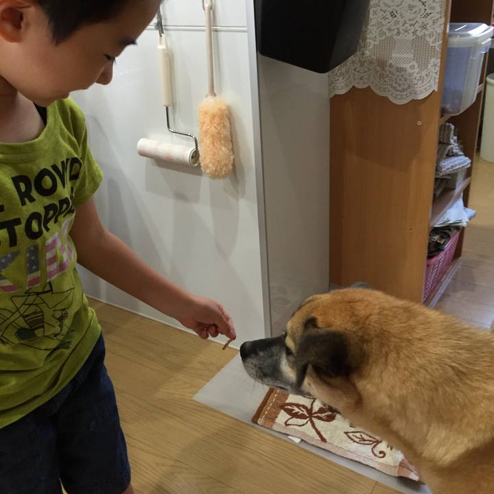 391bd6ef 5b40 48b1 bbb5 bbfad53d9dcd