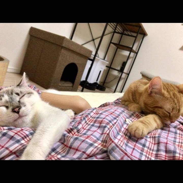 391cb786 751d 4c9f ad1e b1c37d53d46e