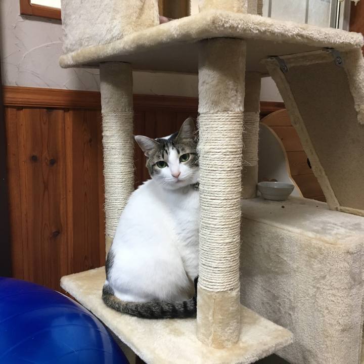 391d2be0 81a5 48f5 89cf 6b9f00535c8f