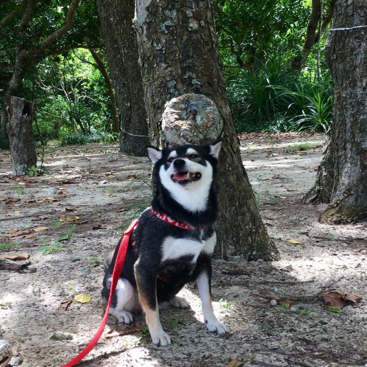 391d7fdb bf10 4428 bd49 6f7930948568