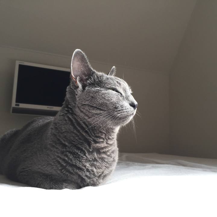 391e7df5 527a 4886 906d d4ad6c41c3eb