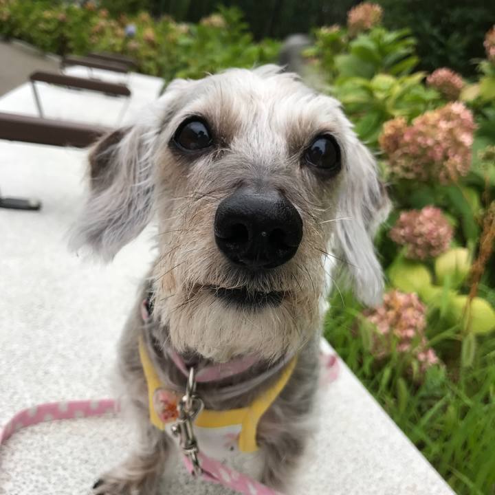 391fabf7 bf7c 406b 8e1d f17da5e04b30