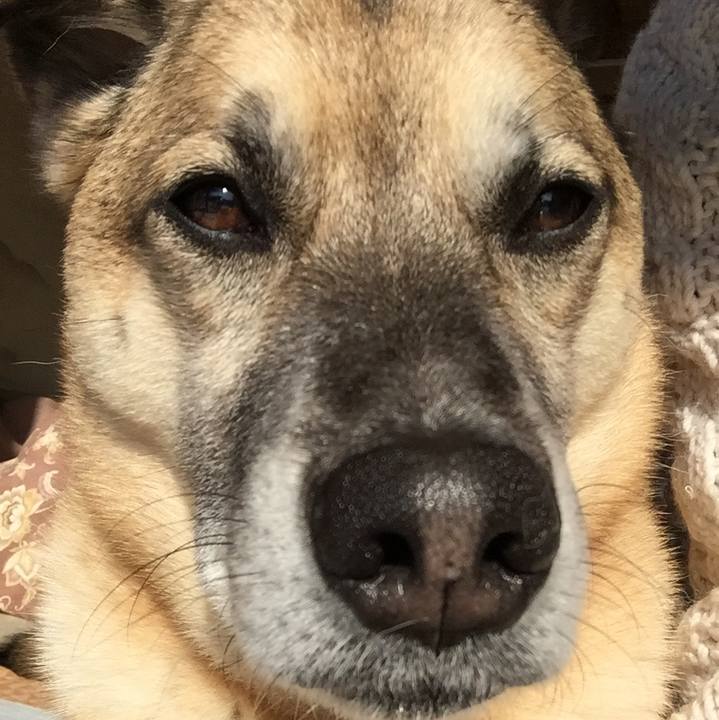 391fd501 191d 420f b347 382662de2403