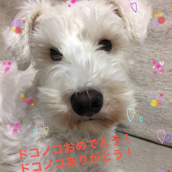 3922d4fc d6be 4c2e b02a df922abe5c0e