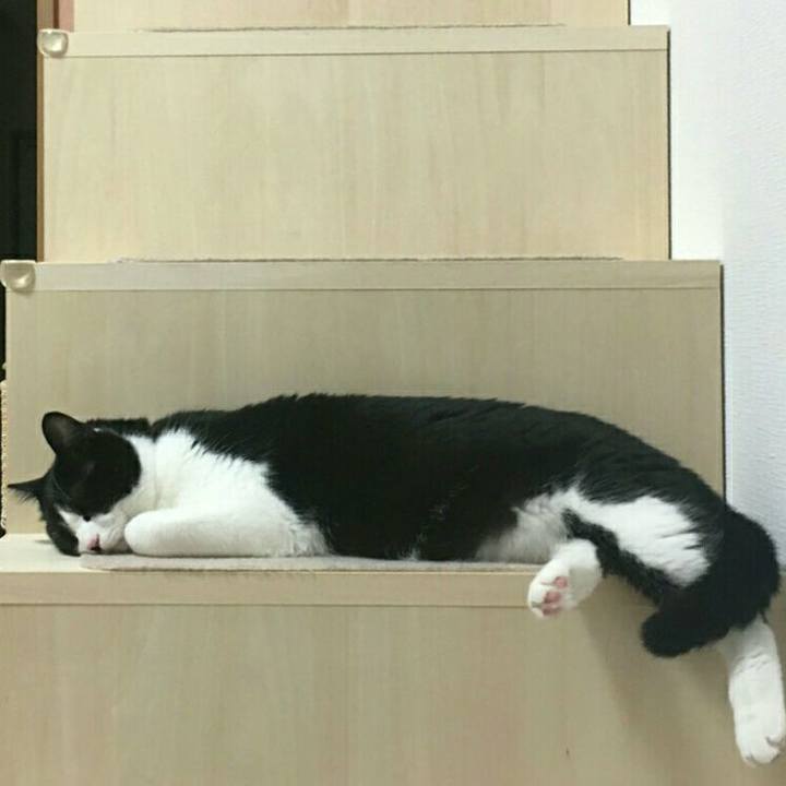 3922d57b eff1 4327 b993 a012cb759204