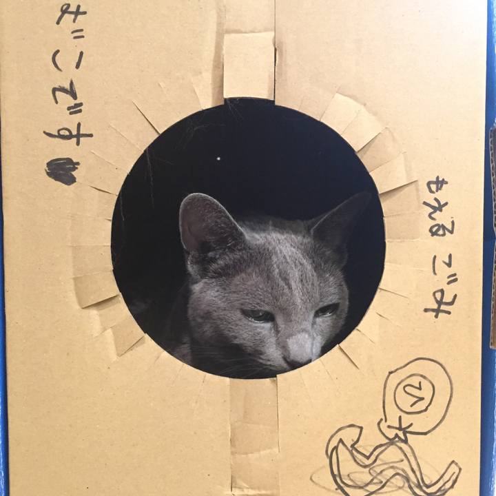 3922e59f c312 4570 a5a5 81574e61cfbb