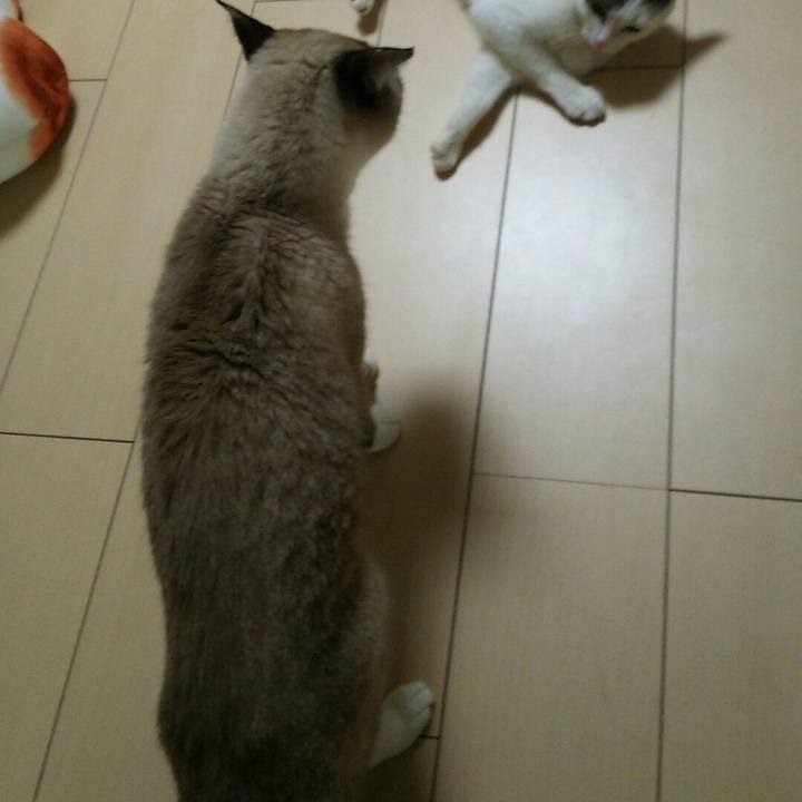 39236608 50e8 497e b9ed c02eb0519802