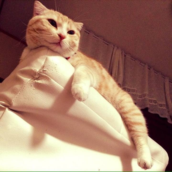 39247daf 95d1 4e3c bd2d 4bb568d35915