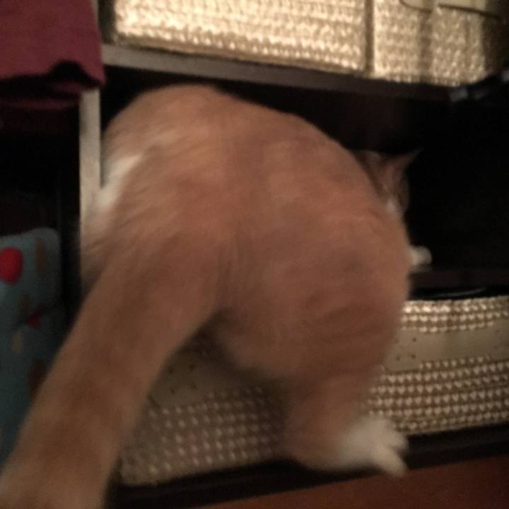 392555c6 ae80 4735 aaee 05abe8f6dc22