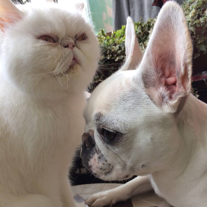 3925e589 911a 4c7e 82b4 f7a5929ae730