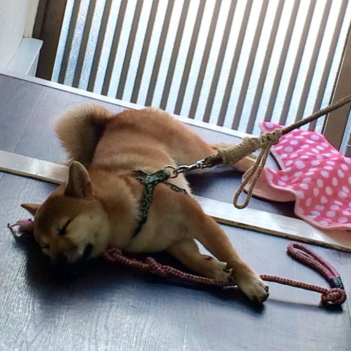 3925f562 355e 4b23 bf68 c88e8a8ebe60