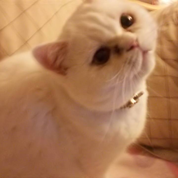 392687a7 3285 4d2c 8485 51430a6b72da