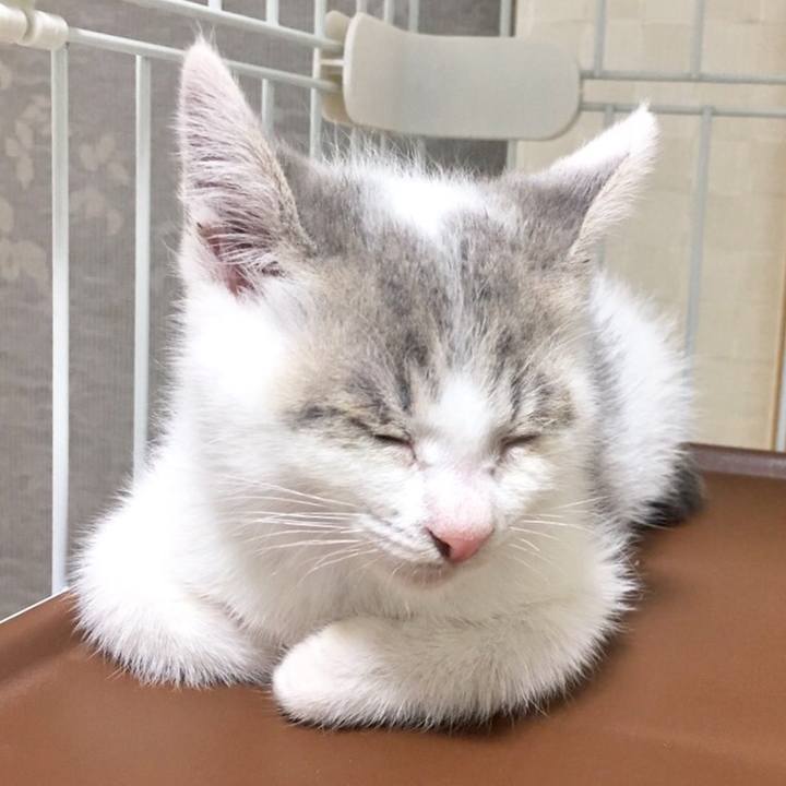 3926f76b e9d6 4d0f b223 0f8b217fdf26