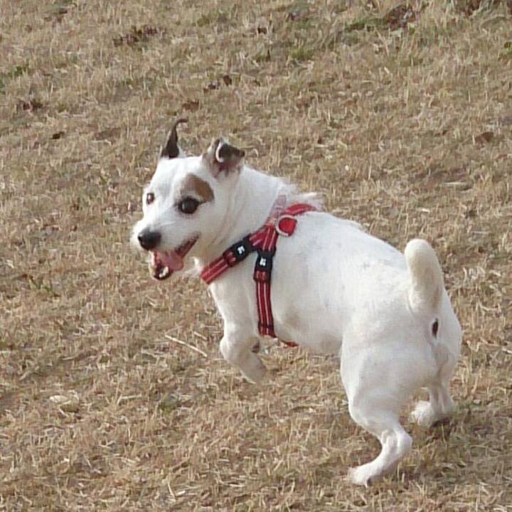 39276a5e ed33 4ae8 9e78 e82b1d6a9f6c