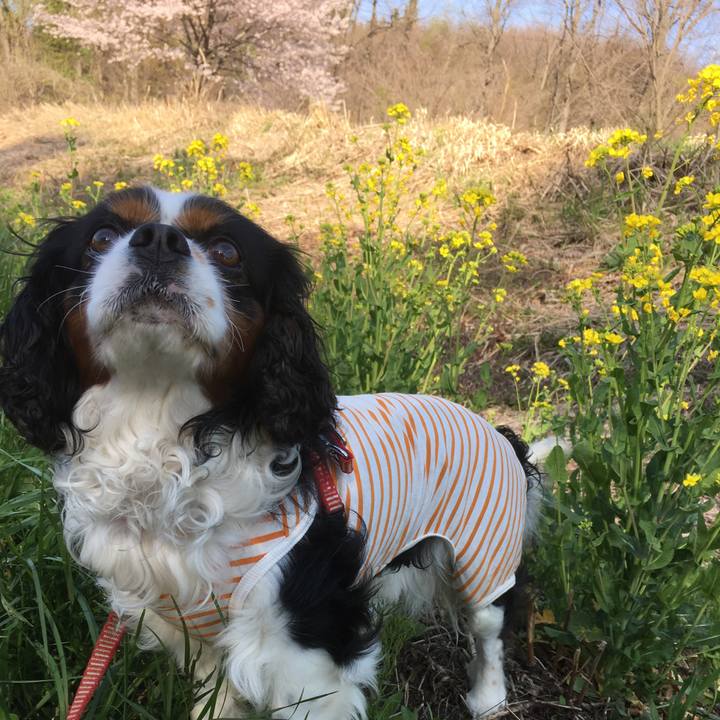 39277c93 5cd5 4a01 8e12 2b4b4a33a708