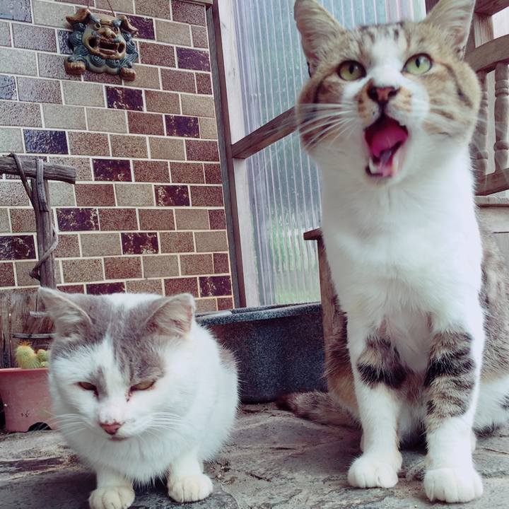 3927871e 02c0 44ee 8350 81bc6d8789d6