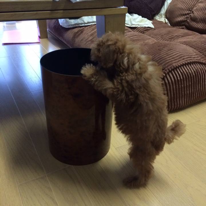 39284aa0 8aa7 4e4a bd7f f31a424694e9