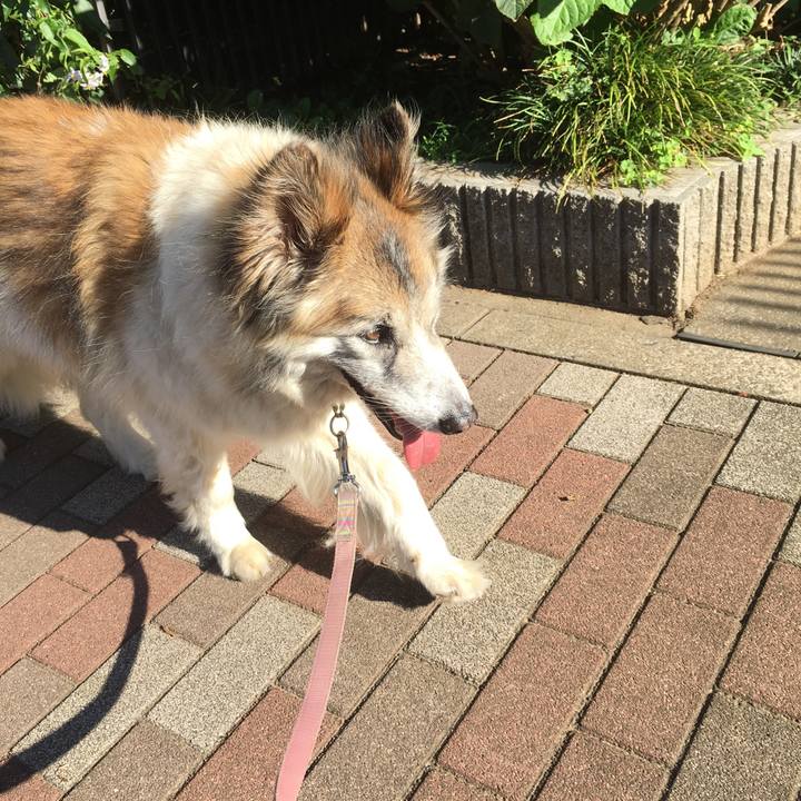 392871df 2361 46db 950d becaa4a0ac18