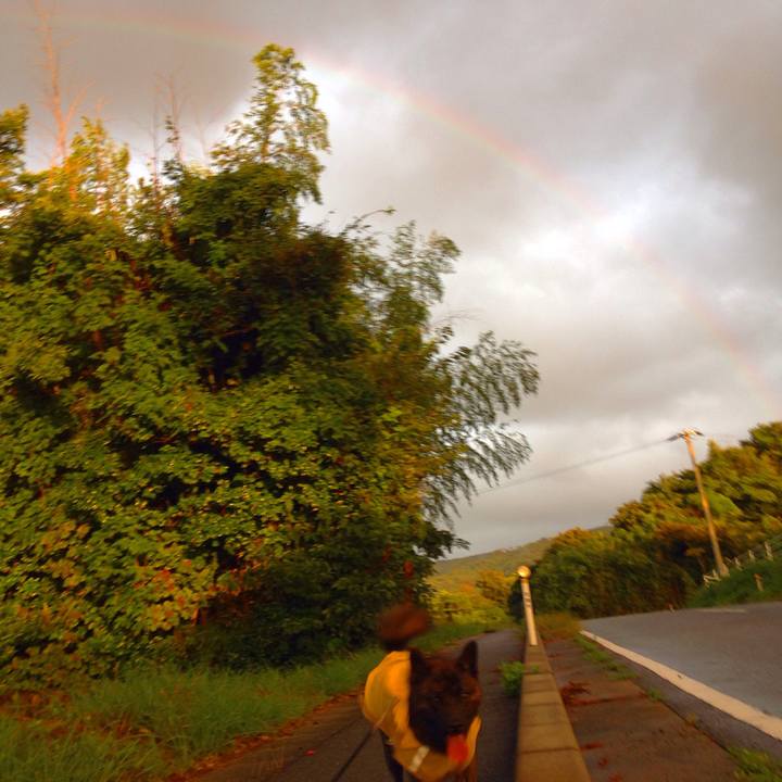 3928b577 de84 4343 b401 426cf71812c1