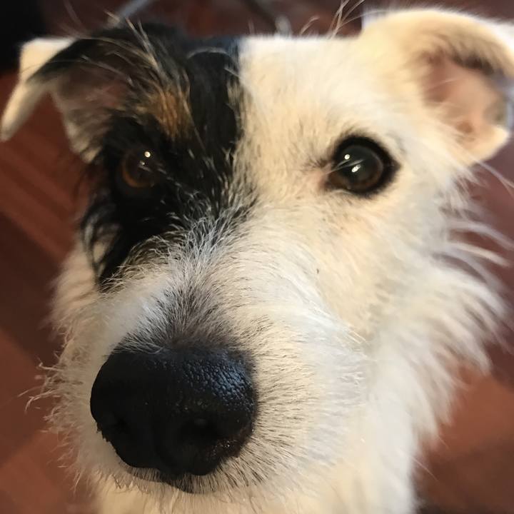 39295e01 c001 4f04 9c71 822f3bd243ef