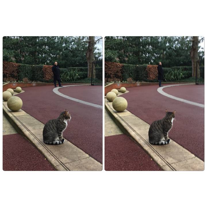 39297309 5111 4d40 89cd 49ea7ccf7b1f