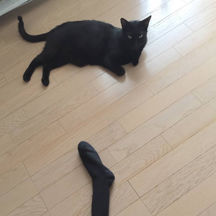 3929f2bc b56b 417d 8b47 da4b68a153fb