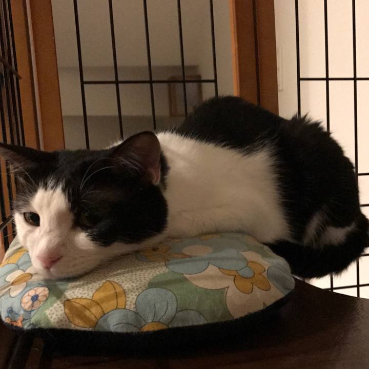 3929fa58 af11 4fbb bee3 5613f18260c7