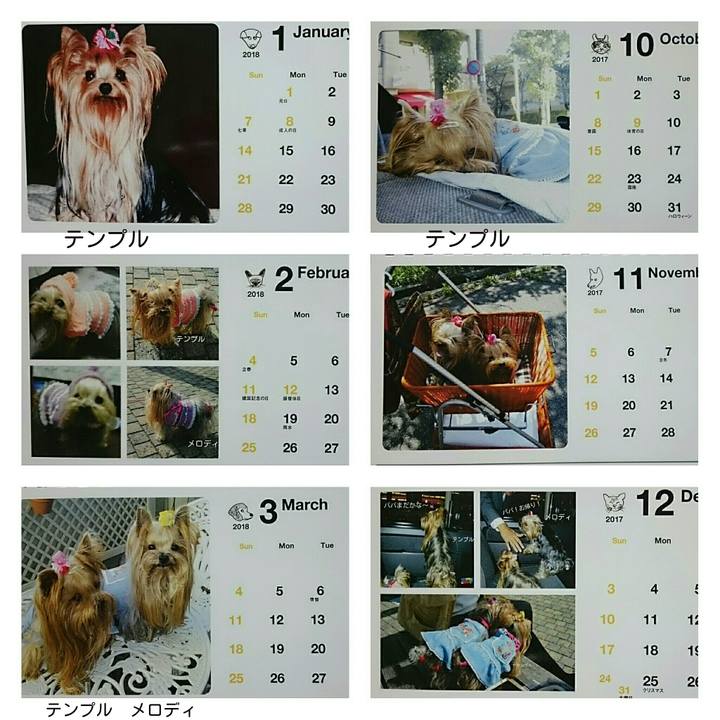 392b4ffe c789 4ef8 a270 1b3b62fb779d