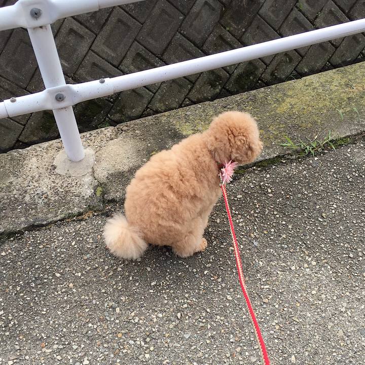 392be7be 021f 48a3 83ed 94227e1bb035