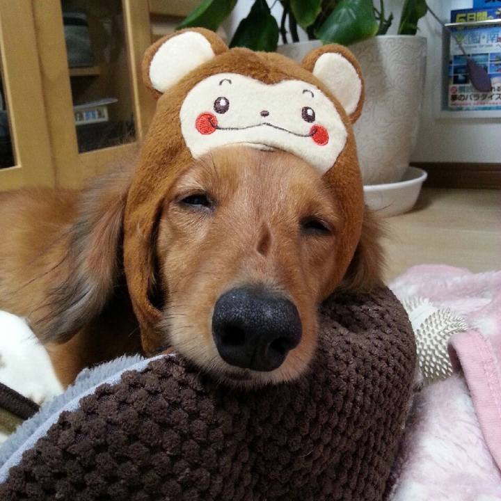 392c6af5 d523 46dd 8162 8a14231e127f