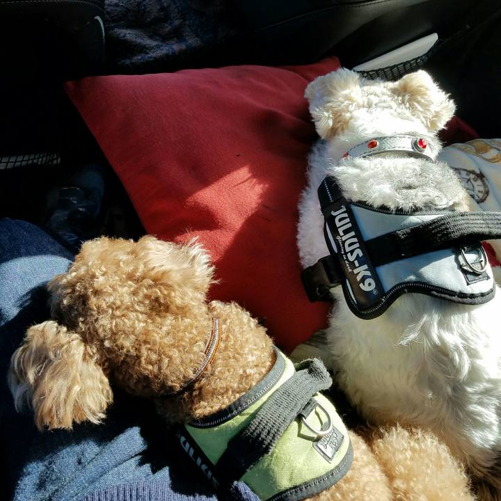 392c8a75 314e 434f 81f3 9d82933b9c26