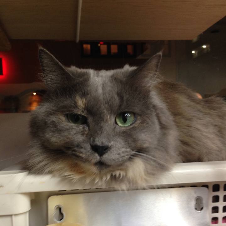 392d2982 5a12 409d 8db0 9b398f32e150