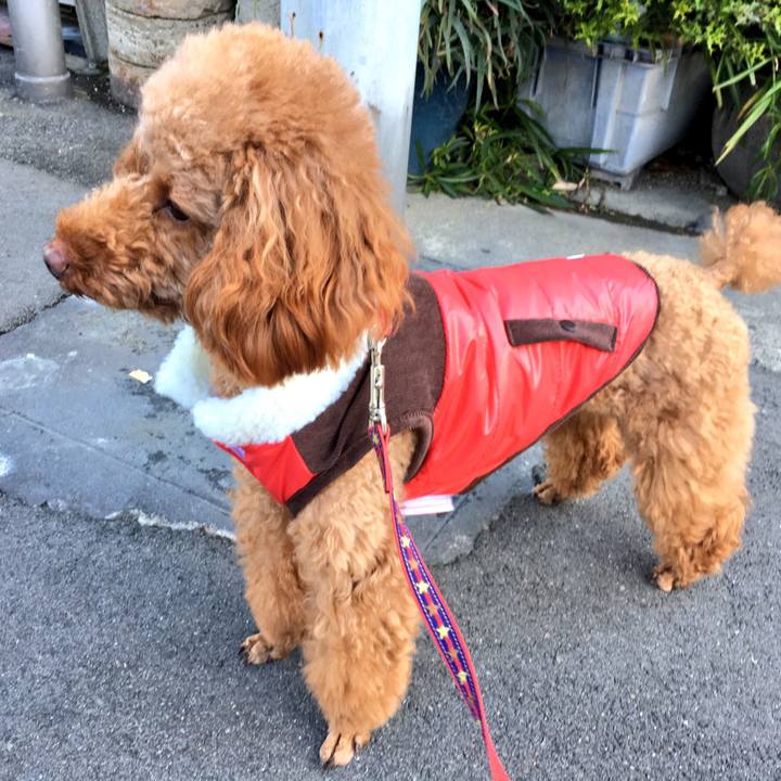 392d471a 9d53 4143 bfa0 3fe52d64b839