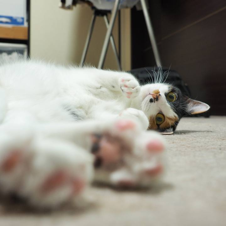 392d48f1 4a8c 4197 97da dd688553eaa4