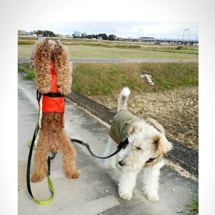 392d5fbb cfda 4f4d a84e ce2c29c7f8ed