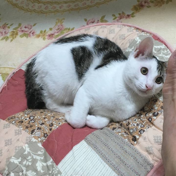 392db9bf dd82 4dcb 82f6 96ee88f151ab