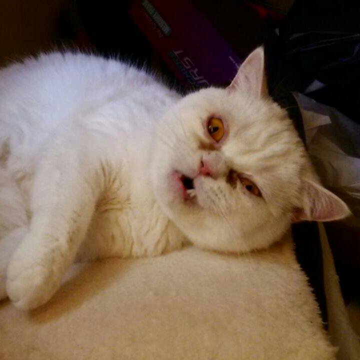 392de0d5 ce96 4093 9d69 decaf9c1924e