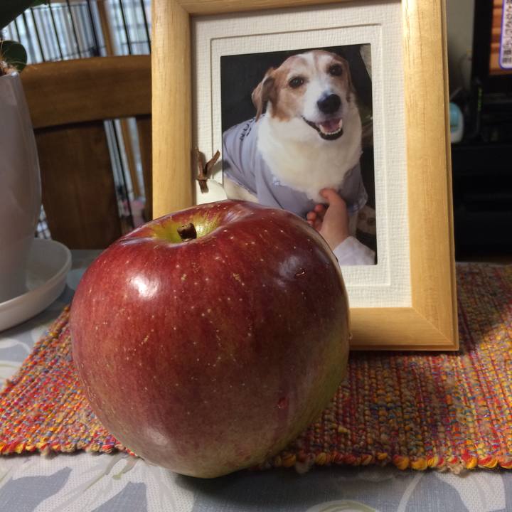 392def7f 989a 4d67 b257 a565b6dcbc8a