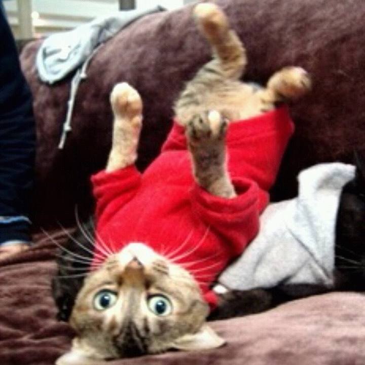 392df700 2b95 4165 a4c7 96f6bb22507c