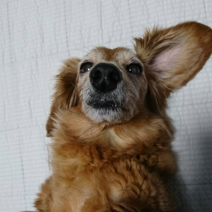 392f1ee3 5a4d 432e baf0 84bdf2a4989c