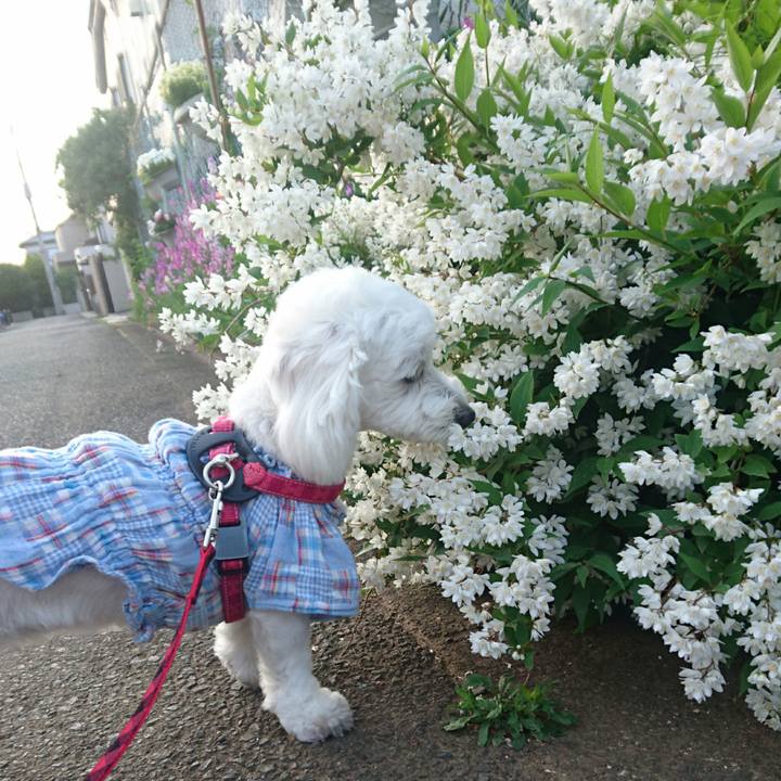 392f817b 0bf3 4aff 9e11 e08ecd91264a