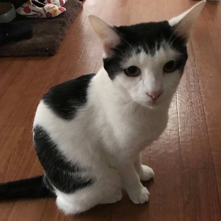 39302a7f d1a0 4ea8 8806 0a1f08e3b99c