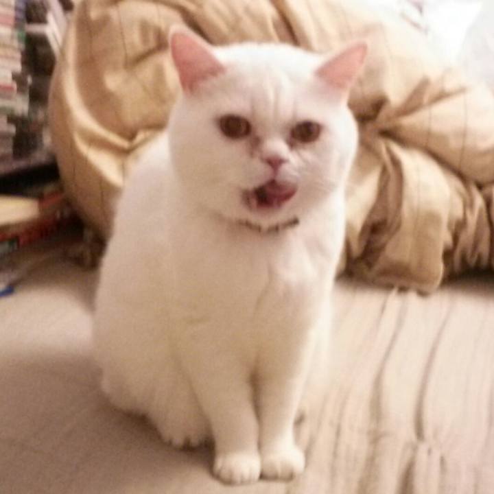 39302b92 77da 43ef 9c0b dbaf9c971c70