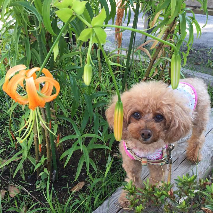 39315688 76a6 40f4 aa7d 46dd0aa77409