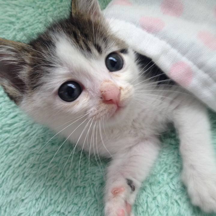 393196ea 4f71 45bd 8c7d 38851c24c80b