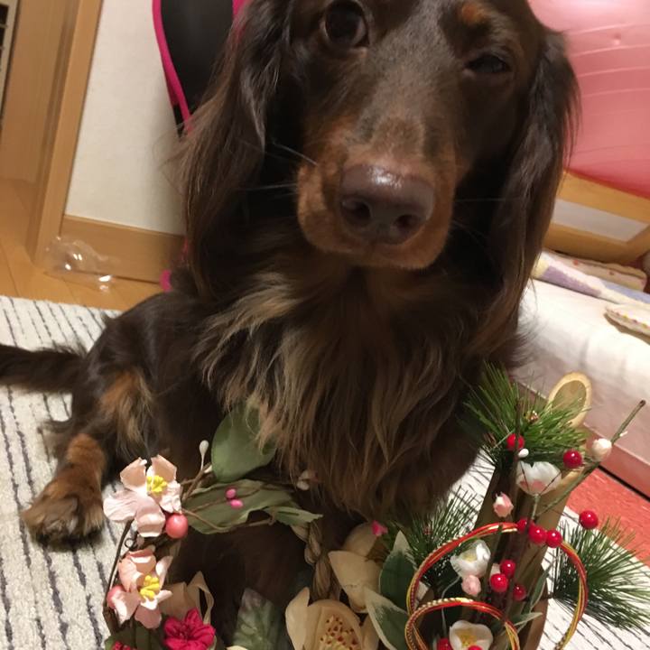 3931f07a 7098 41aa beec dff219a9390e