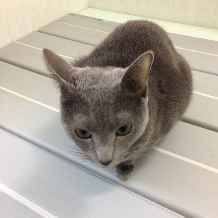 39321853 c08e 4878 848a 1e5d57464ec7