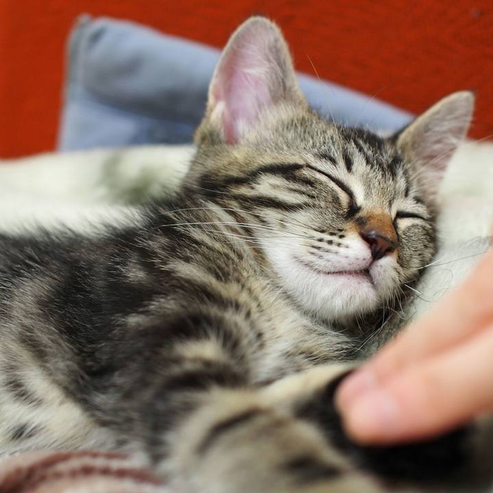 3932ea52 a14a 4943 9eda 68568cb83dfc