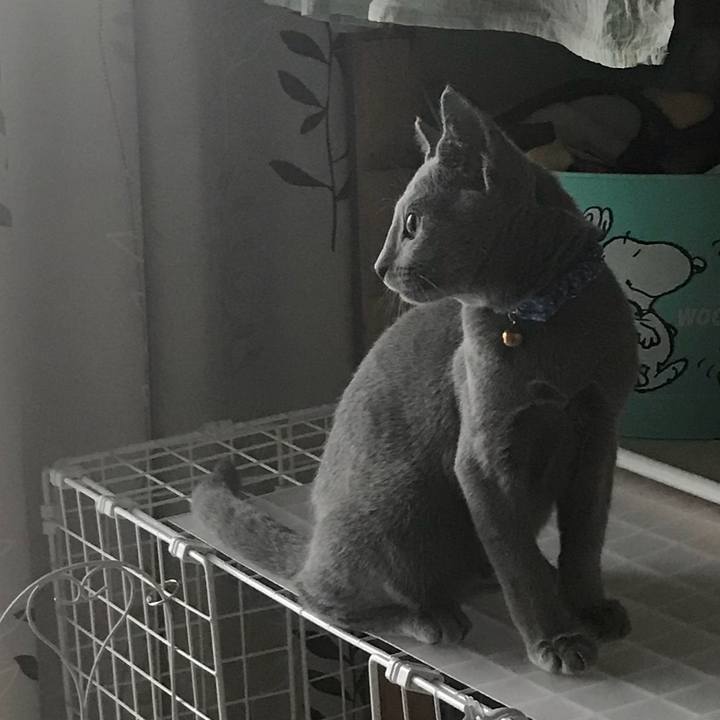 39338fb3 7dcd 492c b144 dd2a3bdbf68f